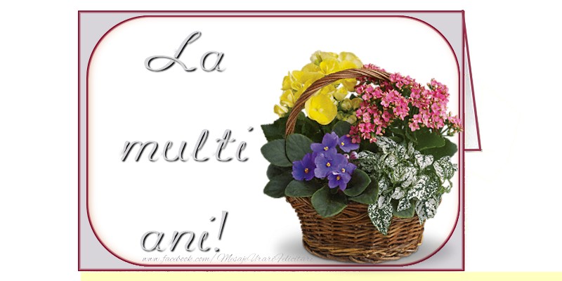 Felicitari aniversare De Zi De Nastere - La multi ani