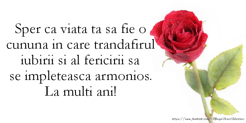 Felicitari aniversare De Zi De Nastere - Sper ca viata ta sa fie o cununa