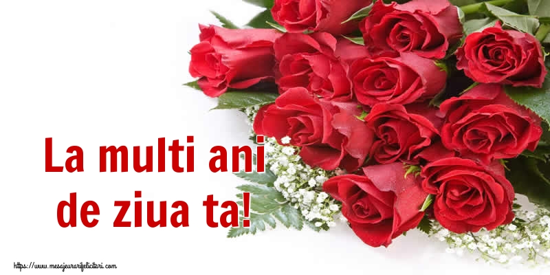 Felicitari aniversare De Zi De Nastere - La multi ani de ziua ta!