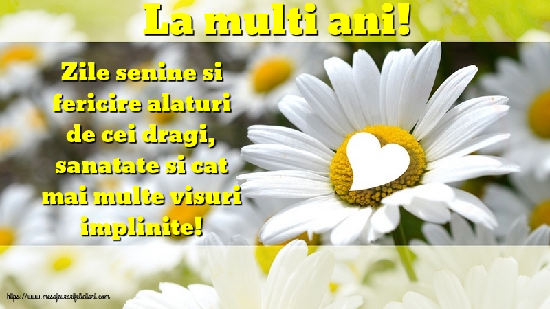 Felicitari aniversare De Zi De Nastere - La multi ani!