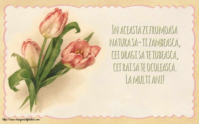 Felicitari aniversare De Zi De Nastere - La multi ani!