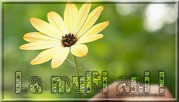 Felicitari aniversare De Zi De Nastere - La multi ani