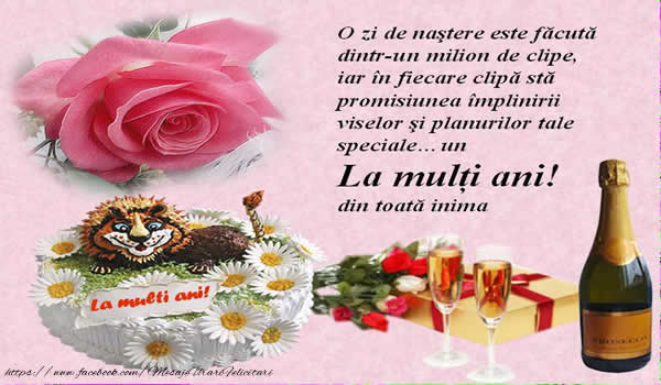 Felicitari aniversare De Zi De Nastere - La multi ani! din toata inima