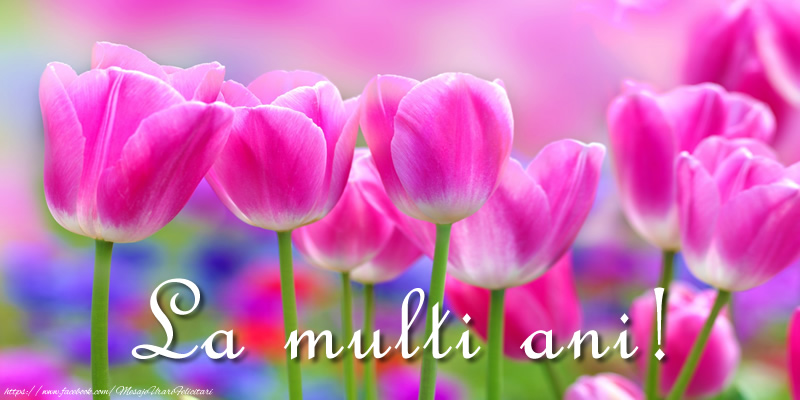 Felicitari aniversare De Zi De Nastere - La multi ani!