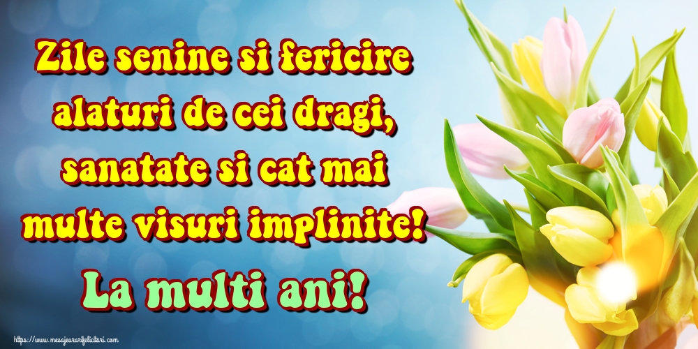Felicitari aniversare De Zi De Nastere - Zile senine si fericire alaturi de cei dragi, sanatate si cat mai multe visuri implinite! La multi ani!