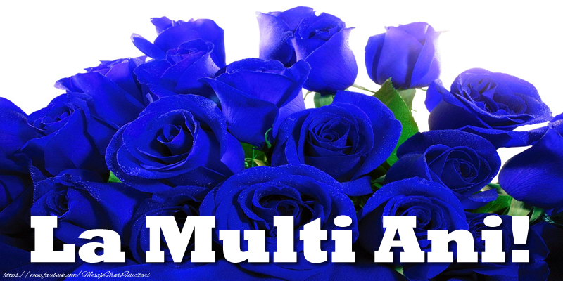 Felicitari aniversare De Zi De Nastere - La multi ani!