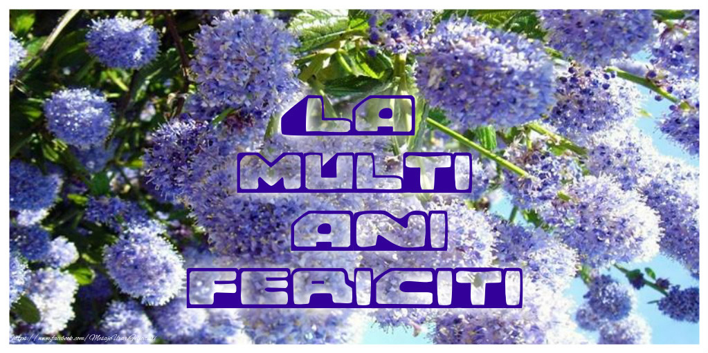 Felicitari aniversare De Zi De Nastere - La multi ani fericiti