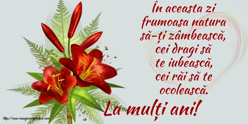 Felicitari aniversare De Zi De Nastere - La mulți ani!