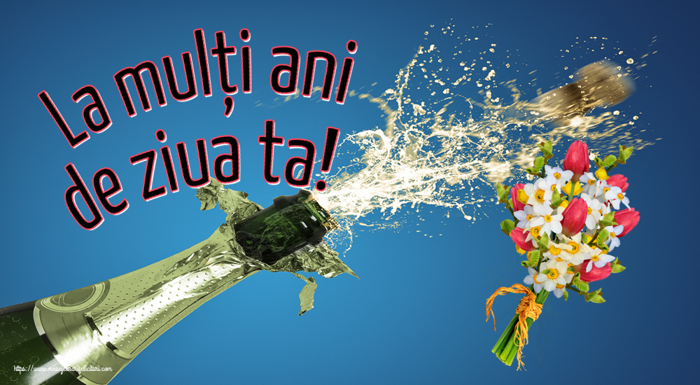 Felicitari aniversare De Zi De Nastere - La mulți ani de ziua ta!