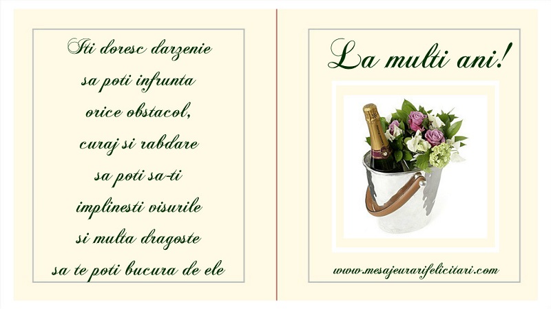 Felicitari aniversare De Zi De Nastere - Iti doresc darzenie ca sa poti infrunta orice obstacol, curaj si rabdare sa poti sa-ti implinesti visurile si multa dragoste sa te poti bucura de ele