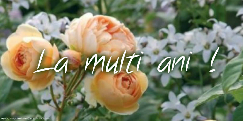 Felicitari aniversare De Zi De Nastere - La multi ani!