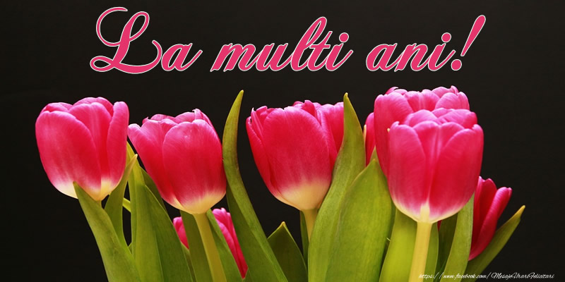Felicitari aniversare De Zi De Nastere - La multi ani!