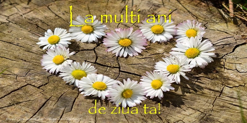 Felicitari aniversare De Zi De Nastere - La multi ani de ziua ta!
