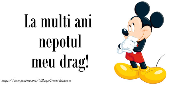 Felicitari aniversare Pentru Copii - La multi ani nepotul meu drag!