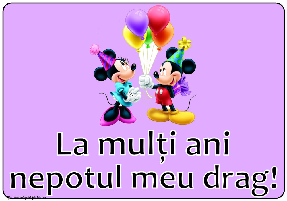 Felicitari aniversare Pentru Copii - La mulți ani nepotul meu drag! ~ Mickey și Minnie mouse