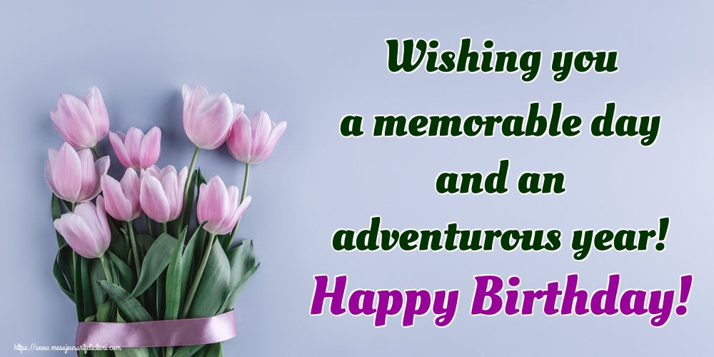 Felicitari Aniversare in limba Engleza - Wishing you a memorable day and an adventurous year! Happy Birthday!