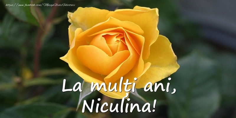 Felicitari aniversare De Sfantul Nicolae - La mulți ani, Niculina!
