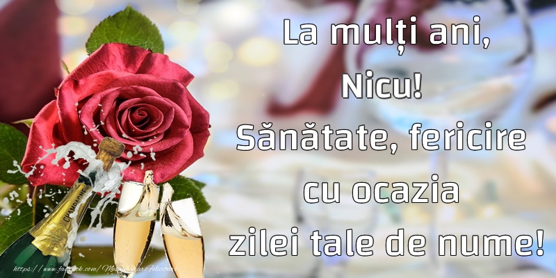 Felicitari aniversare De Sfantul Nicolae - La mulți ani, Nicu! Sănătate, fericire cu ocazia zilei tale de nume!