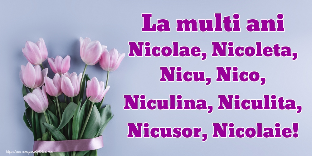 Felicitari aniversare De Sfantul Nicolae - La multi ani Nicolae, Nicoleta, Nicu, Nico, Niculina, Niculita, Nicusor, Nicolaie!