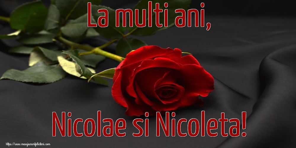 Felicitari aniversare De Sfantul Nicolae - La multi ani, Nicolae si Nicoleta!