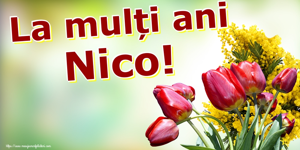 Felicitari aniversare De Sfantul Nicolae - La mulți ani Nico!