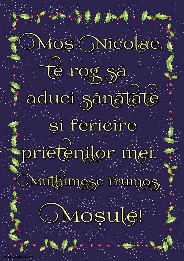 Felicitari aniversare De Sfantul Nicolae - Mulțumesc frumos, Moșule!