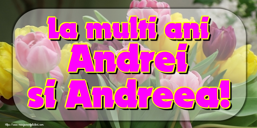 Felicitari aniversare De Sfantul Andrei - La multi ani Andrei si Andreea!