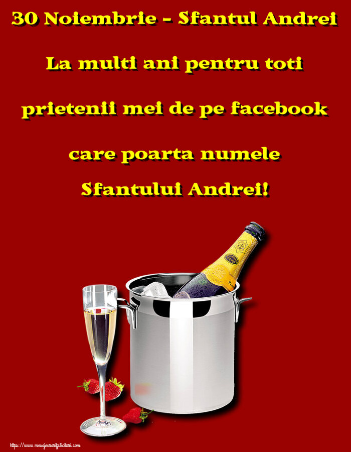 Felicitari aniversare De Sfantul Andrei - 30 Noiembrie - Sfantul Andrei La multi ani pentru toti prietenii mei de pe facebook care poarta numele Sfantului Andrei! ~ șampanie în frapieră și căpșuni