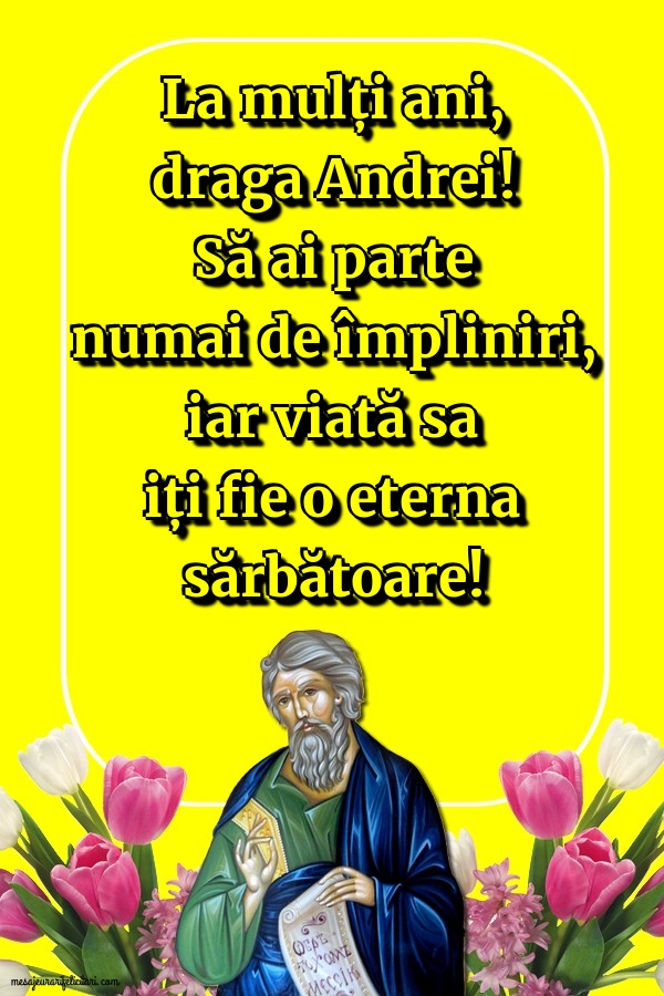 Felicitari aniversare De Sfantul Andrei - La mulți ani, draga Andrei!
