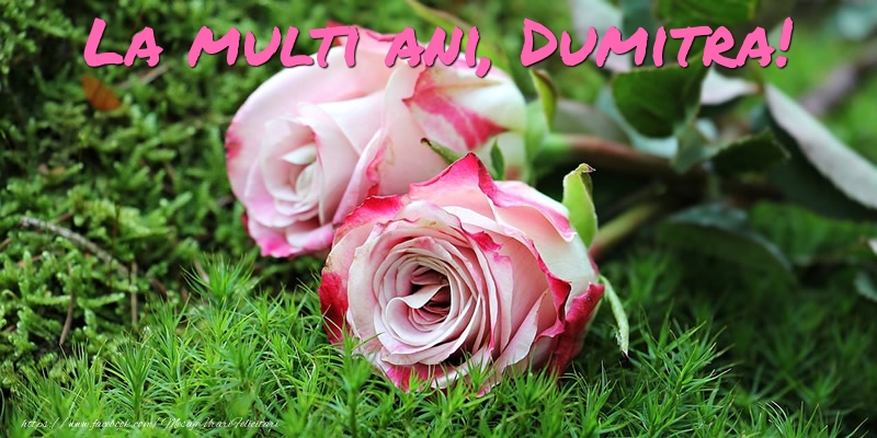 Felicitari aniversare De Sfantul Dumitru - La multi ani, Dumitra!