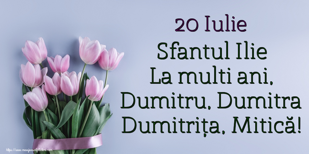 Felicitari aniversare De Sfantul Dumitru - 20 Iulie Sfantul Ilie La multi ani, Dumitru, Dumitra Dumitrița, Mitică!
