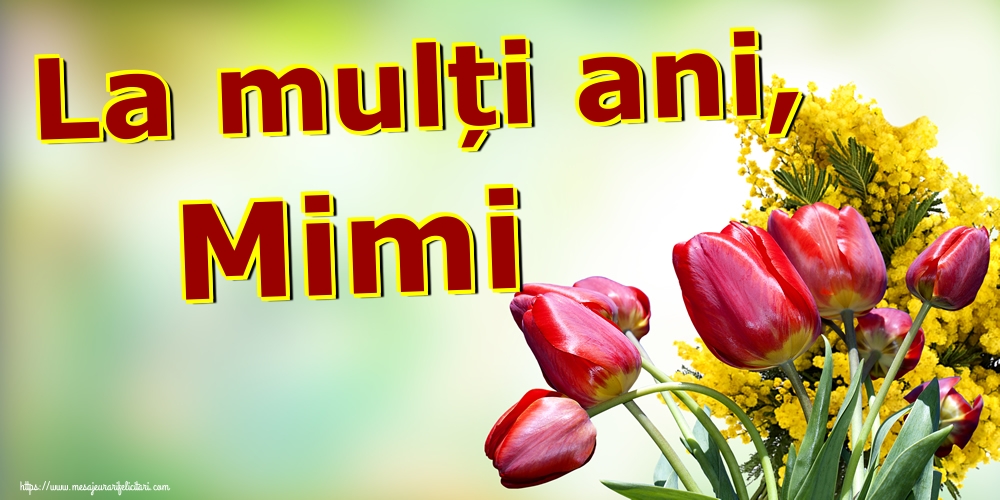 Felicitari aniversare De Sfantul Dumitru - La mulți ani, Mimi