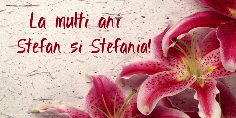 Felicitari aniversare De Sfantul Stefan - La multi ani Stefan si Stefania!