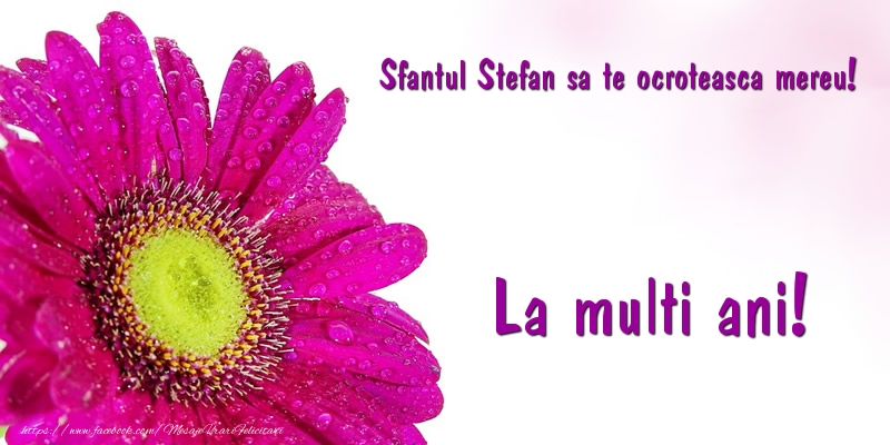 Felicitari aniversare De Sfantul Stefan - Sfantul Stefan sa te ocroteasca mereu! La multi ani!