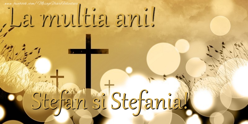 Felicitari aniversare De Sfantul Stefan - Stefan si Stefania!