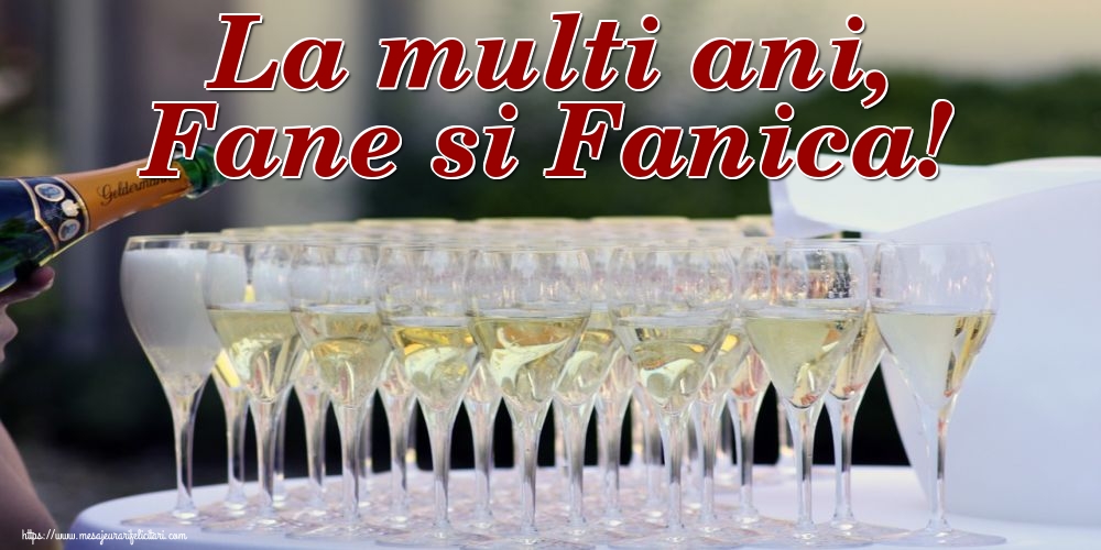 Felicitari aniversare De Sfantul Stefan - La multi ani, Fane si Fanica!