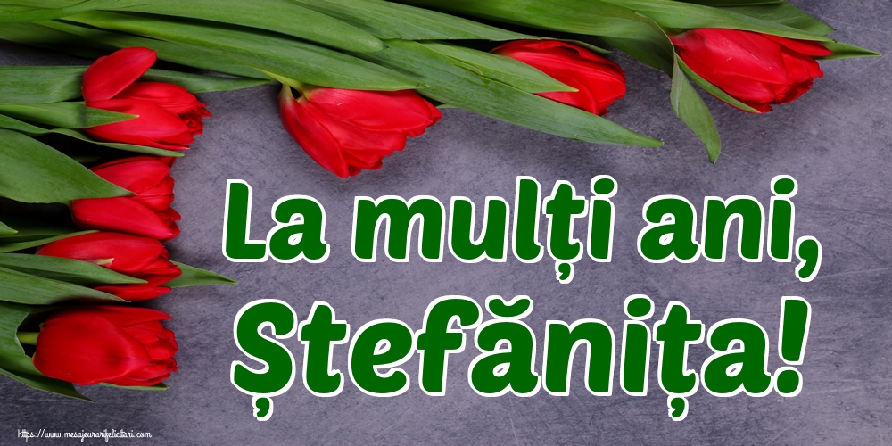 Felicitari aniversare De Sfantul Stefan - La mulți ani, Ștefănița!