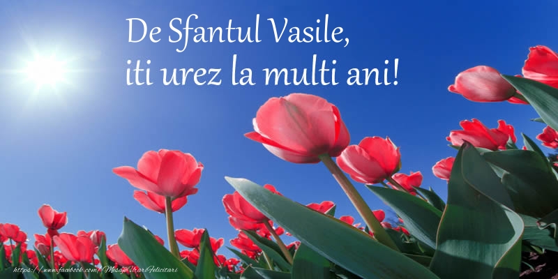 Felicitari aniversare De Sfantul Vasile - De Sfantul Vasile, iti urez La multi ani!