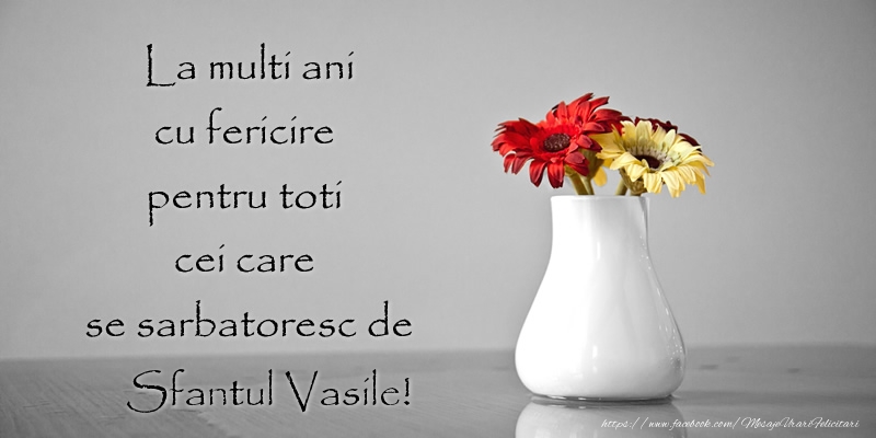 Felicitari aniversare De Sfantul Vasile - La multi ani cu fericire pentru toti cei care  se sarbatoresc de Sfantul Vasile!