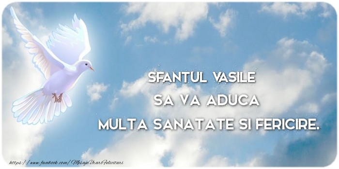 Felicitari aniversare De Sfantul Vasile - Sfantul Vasile sa va aduca  multa sanatate si fericire.