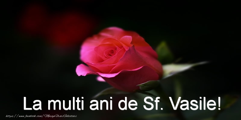 Felicitari aniversare De Sfantul Vasile - La multi ani de Sf. Vasile!