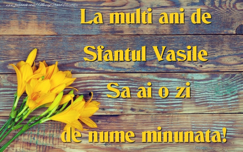 Felicitari aniversare De Sfantul Vasile - Sfantul Vasile