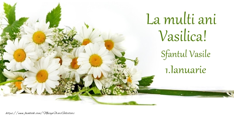 Felicitari aniversare De Sfantul Vasile - La multi ani, Vasilica! 1.Ianuarie - Sfantul Vasile