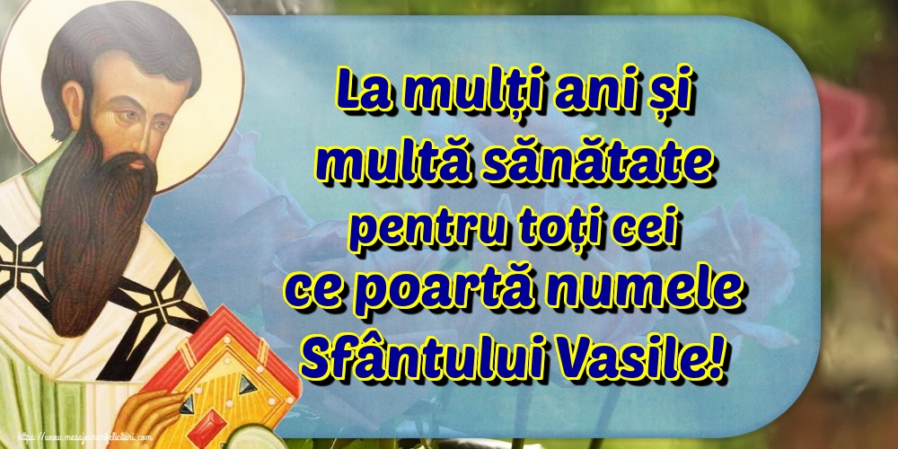 Felicitari aniversare De Sfantul Vasile - La mulți ani și multă sănătate pentru toți cei ce poartă numele Sfântului Vasile!