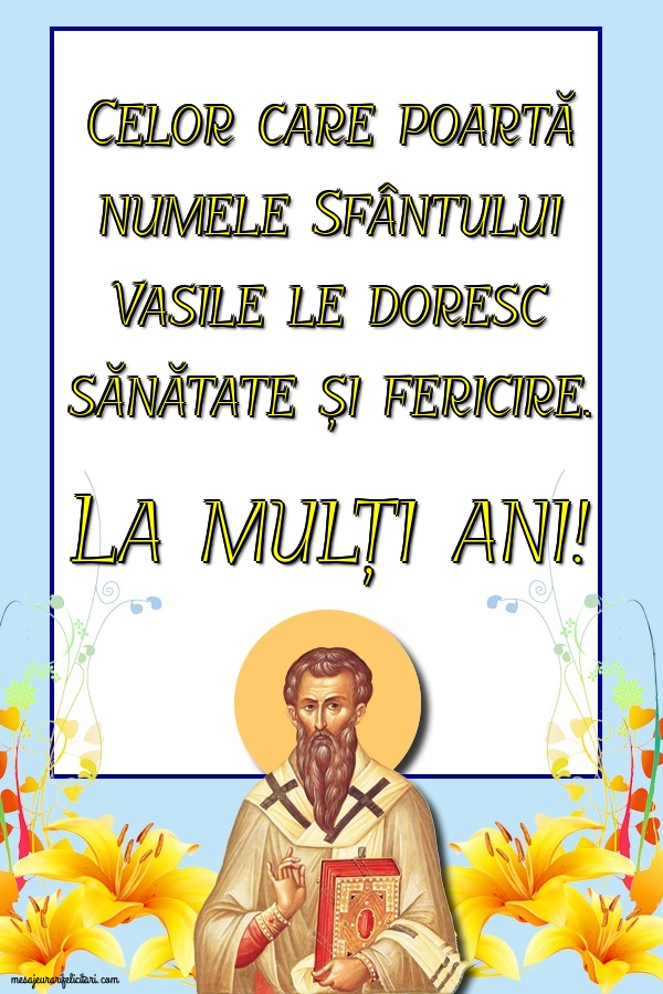 Felicitari aniversare De Sfantul Vasile - La mulți ani!