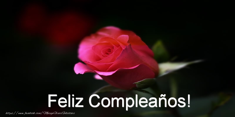 Felicitari Aniversare in limba Spaniola - Feliz Compleaños!